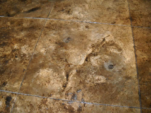 acid stained concrete patio Heath, TX
