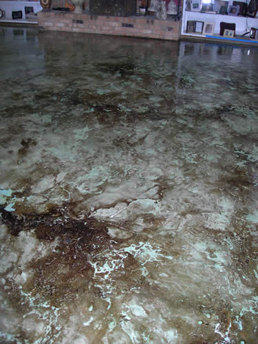 concrete flooring overlay