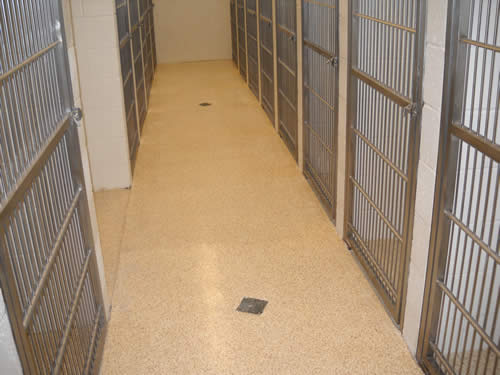 epoxy flake floor Dallas animal hospital
