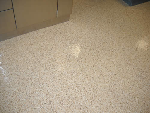 epoxy flloor Plano animal hospital